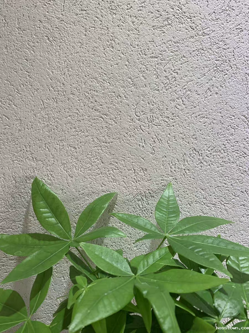 taptap点点官网入口雅晶石  内附施工视频，史上最全的雅晶石全攻略收录