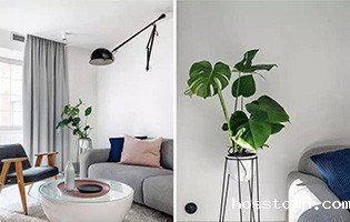 硅藻泥新taptap国际服怎么下载【泥中宝】代替腻子粉