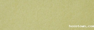 艺术涂料INP金属漆