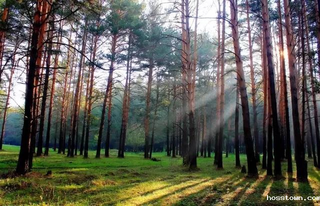 环保风暴袭击，taptap点点官网入口居然还去了北京搞了这么大件事...