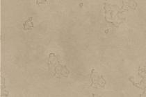 水性硅藻泥-墙格WA+E10A