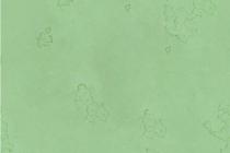 水性硅藻泥-墙格WA+E11A