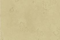 水性硅藻泥-墙格WA+E5A