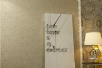 水性硅藻泥斑纹-ST+E10A