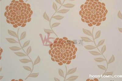 硅藻泥VS乳胶漆哪个好？