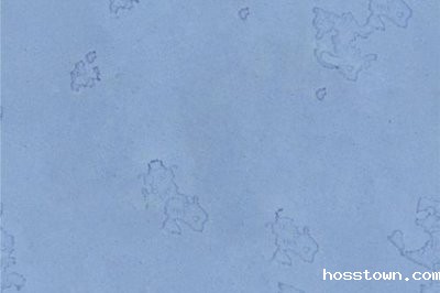墙格硅藻泥装修效果图