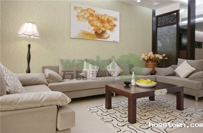 如何选择合适的硅藻泥品牌？