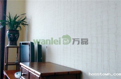 粗犷纹理，野性优雅的硅藻泥