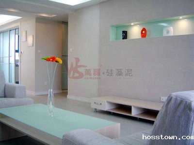 硅藻泥墙面怎样让客厅变得明亮起来