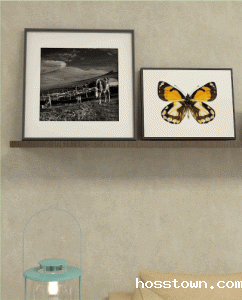 地球梦水性硅藻泥-清水混凝土功能介绍