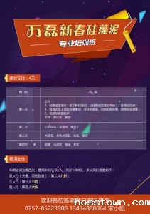 taptap点点官网入口新春硅藻泥专业培训班