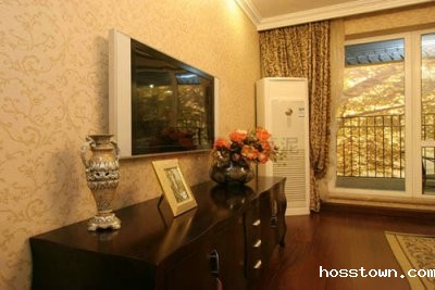 栩栩如生的硅藻泥电视背景墙喜欢吗？