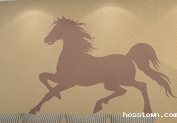 硅藻泥属于什么类型艺术装修材料