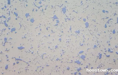 佛山taptap点点官网入口品牌价值非常适合硅藻泥加盟人群