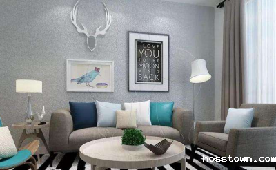 目前硅藻泥加盟市场必须推陈出新