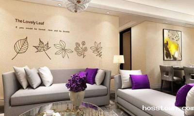 硅藻泥涂料满足新颖消费需求