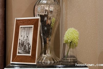 国内硅藻泥十大排名哪个品牌taptap国际服怎么下载好