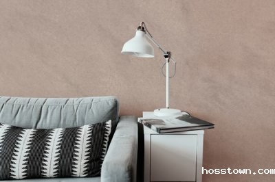 哪个硅藻泥厂家好？哪个厂家性价比高？